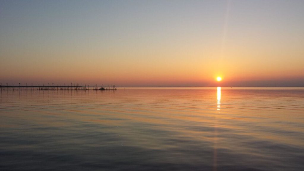 Planes Románticos: Parque Natural de Albufera en Valencia