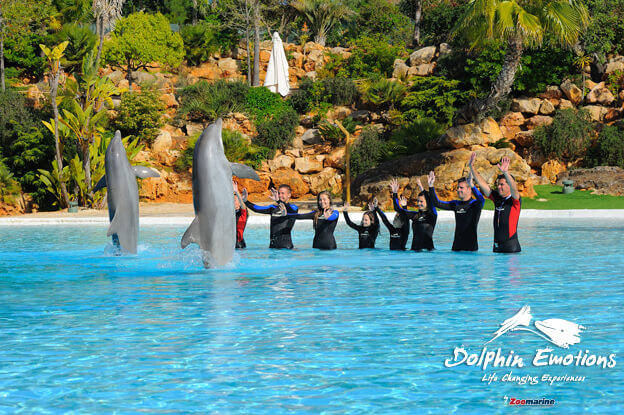 Bañarse con delfines en Zoomarine Algarve