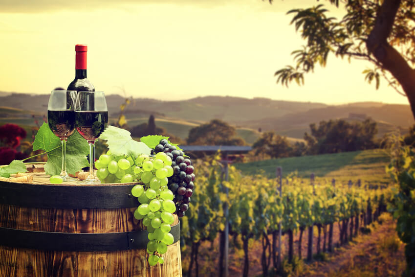 Regalos originales día del padre: cata de vinos