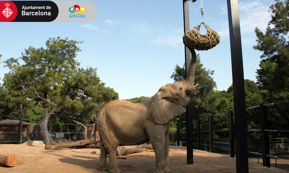 estoy de acuerdo dormitar Insistir Parques de animales para grandes y pequeños en España - El blog de Aladinia