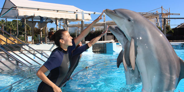 Encuentro con delfines en Selwo Marina Málaga