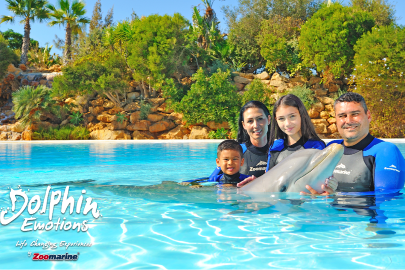 nadar con delfines