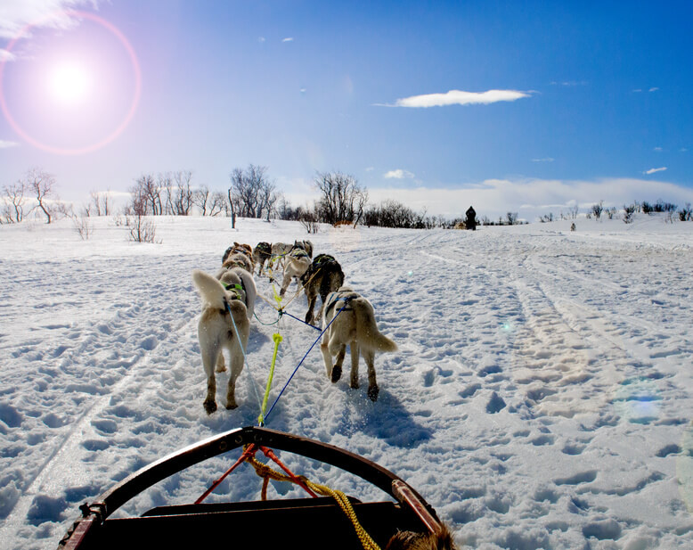 Regalos de Navidad para niños: Mushing