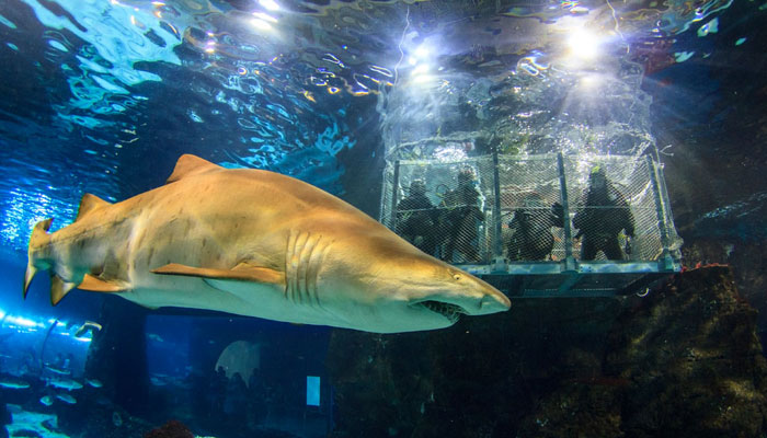Aquarium de Barcelona