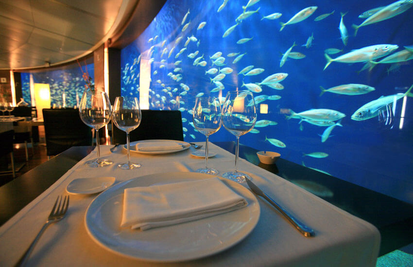 Despedidas de soltera originales: Cena Oceanogràfic