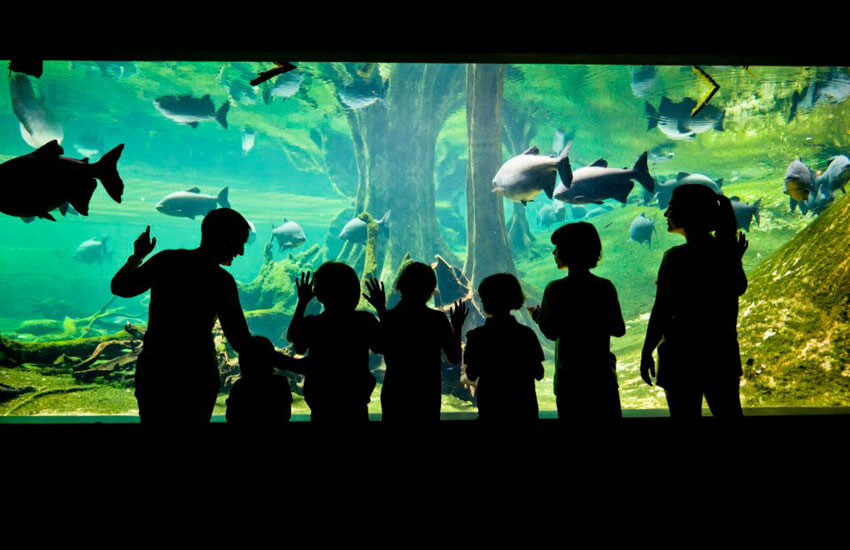 Planes con niños Barcelona: Cosmocaixa