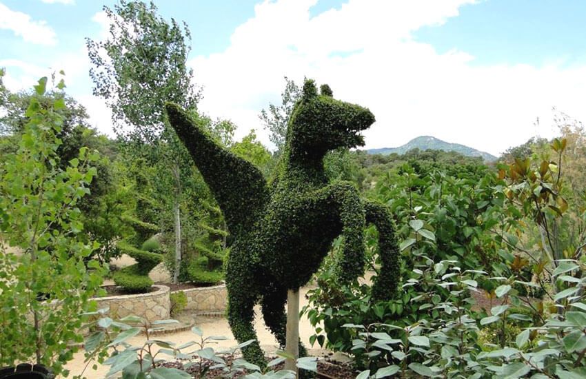 Planes Madrid fin de semana: Bosque Encantado
