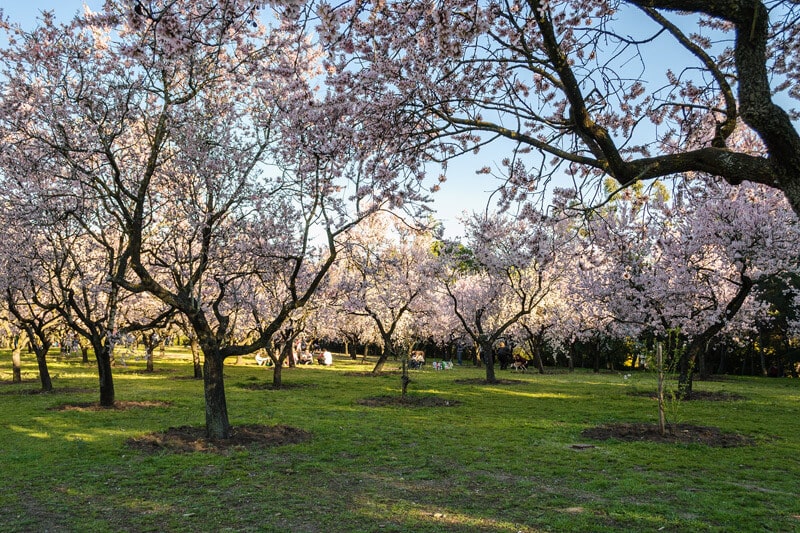 Parque Quinta Molinos Madrid