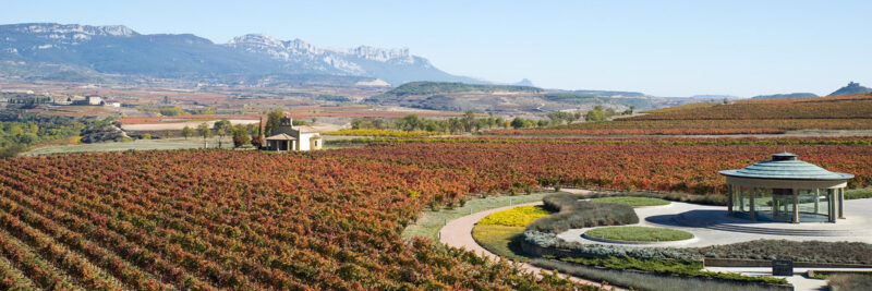 Visitar bodegas La Rioja