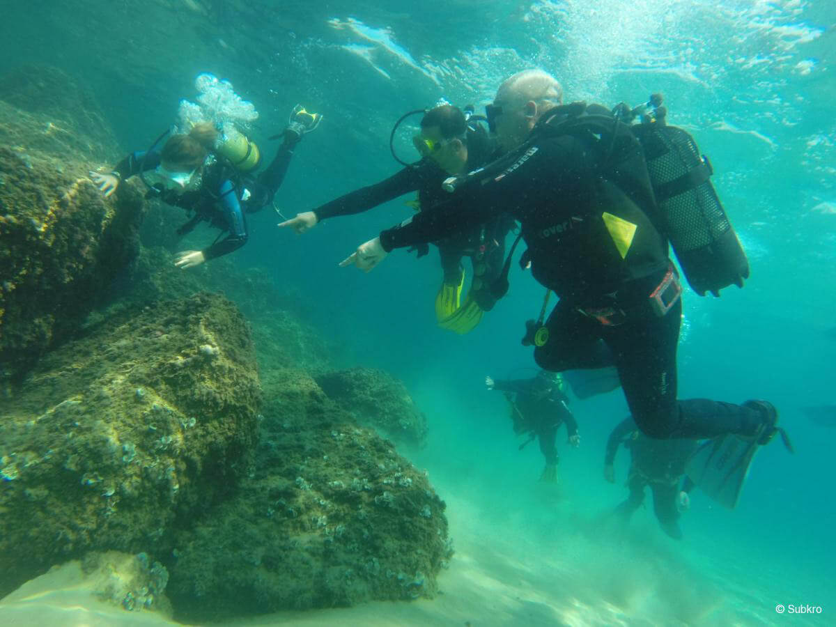 buceo ametlla de mar