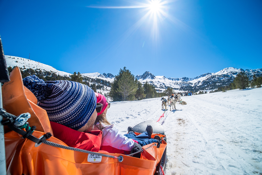 ideas originales para sorprender: Mushing