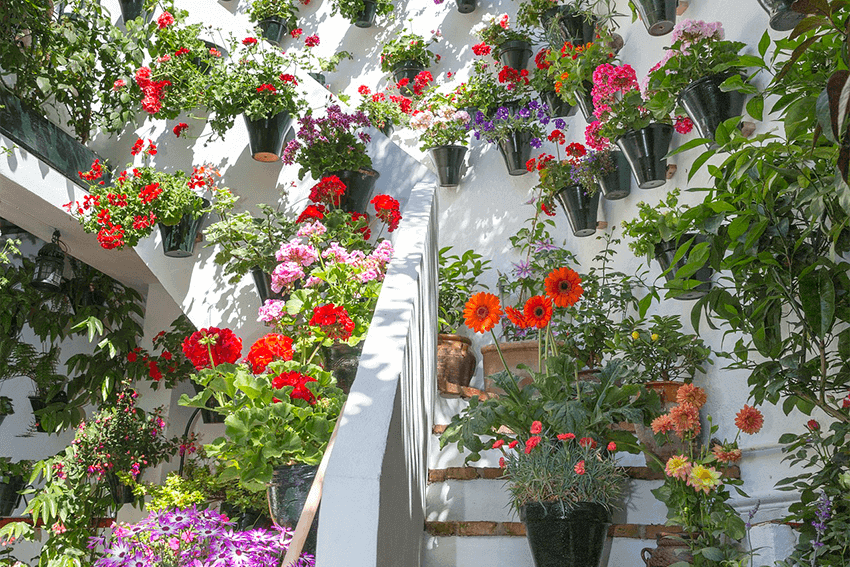 pueblos-mas-bonitos-de-andalucia: Priego de Córdoba