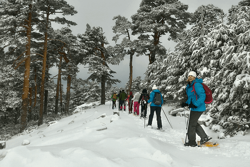 planes-para-hacer-en-invierno: Raquetas de nieve