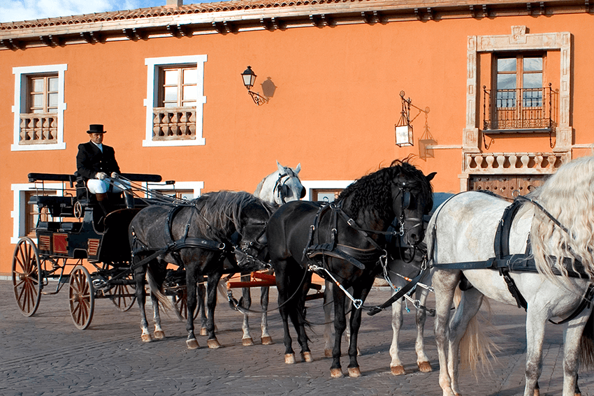 mejores-bodegas-de-espana: Bodega Los Aljibes