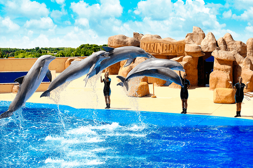 que-hacer-en-barcelona-en-verano: Marineland