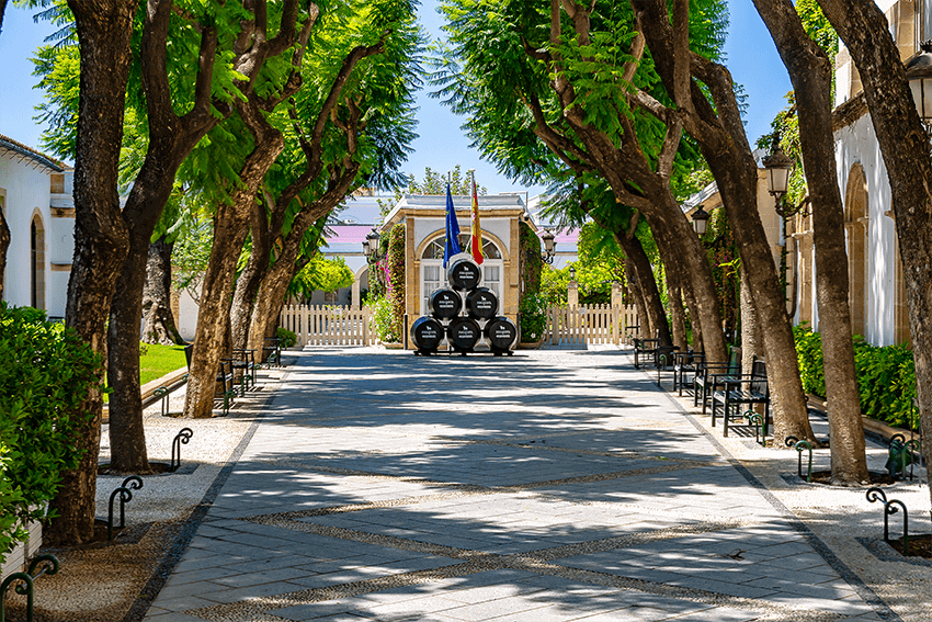 que-hacer-en-cadiz: Bodegas Osborne