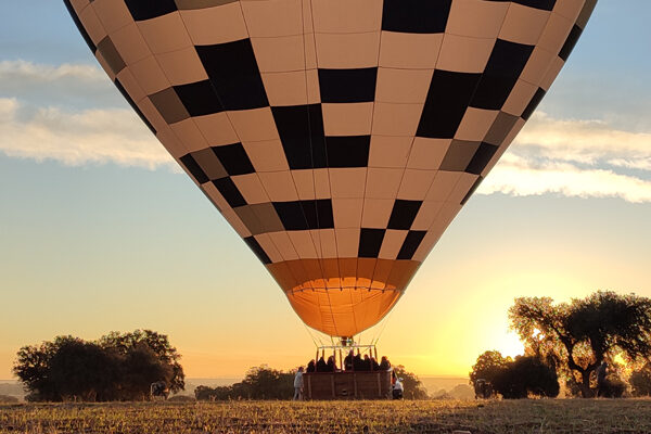 Consejos pilotos globo: portada