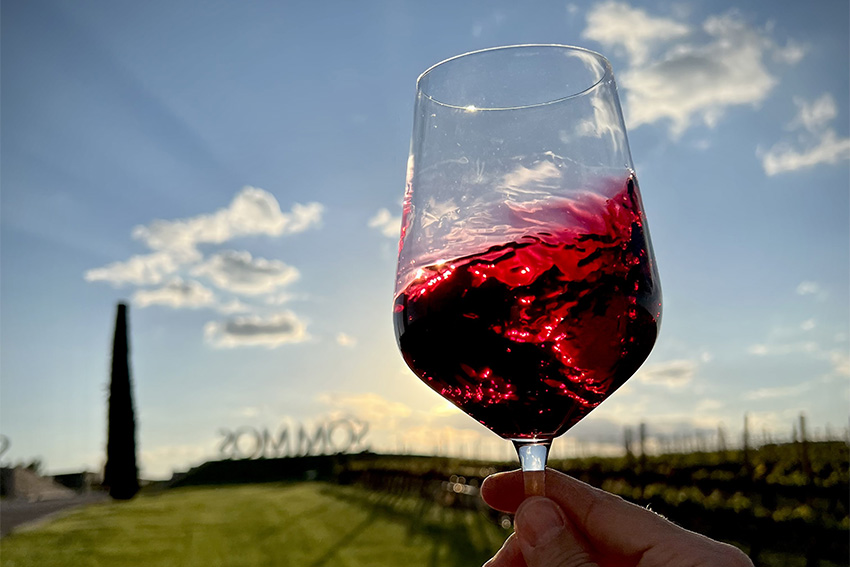 Cómo catar vino: La vista