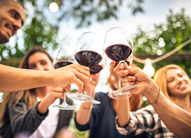 Cata de vinos