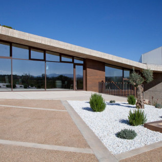 Visita a Bodega Raíces Ibéricas y Cata de Vinos para dos en Finca Calderón (Requena, Valencia)