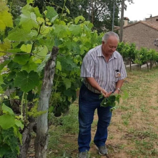 Visita Guiada por Bodega Baronia de Vilademuls y Cata de Vinos para dos (Parets d’Empordà, Girona)