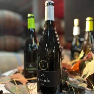 Visita a Bodega Vinícola de Arganda y Degustación de Vinos con Maridaje para dos (Arganda del Rey, Madrid)