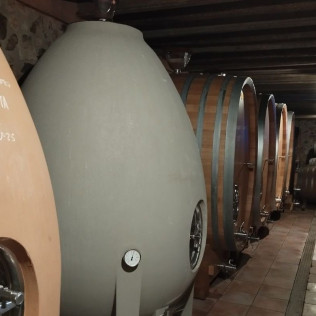Visita al Celler Mas Foraster y Cata de 4 Vinos para dos (Montblanc, Tarragona)