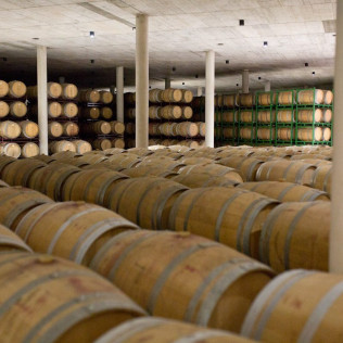 Visita a Bodega Raíces Ibéricas y Cata de Vinos para dos en Finca Calderón (Requena, Valencia)