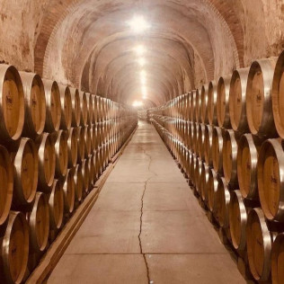 Circuito Termal en AZZ Peñafiel Las Claras Hotel & Spa 4* y  Visita a Bodegas Protos con Cata de 3 Vinos y Aperitivo para dos (Peñafiel, Valladolid)