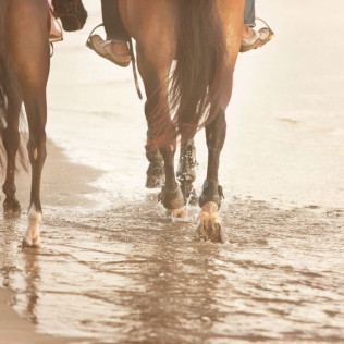 Ruta a Caballo por la Playa (Cádiz)
