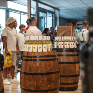 Visita y Cata de Vinos en Bodega Andrés Iniesta para dos (Fuentealbilla, Albacete)