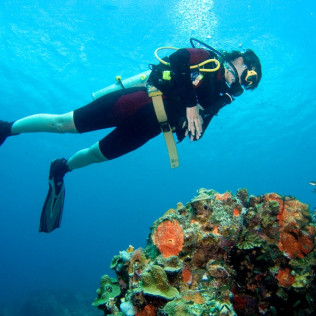 Curso de Buceo Open Water Diver (Tenerife)