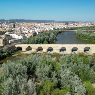 Piloto por un Día: Bautismo de Vuelo y Toma de Mando en Ultraligero con Fotos y Vídeo (Córdoba)