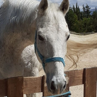 Ruta a Caballo para dos (Alicante)