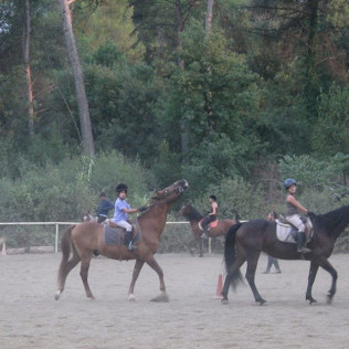 Paseo a Caballo por el Parque Natural de Collserola para dos (Sant Cugat, Barcelona)