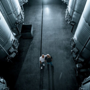 Visita y Cata de Vinos en Bodega Andrés Iniesta para dos (Fuentealbilla, Albacete)