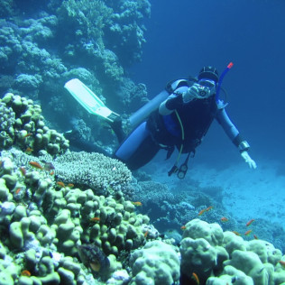 Bautismo de Buceo Privado en el Mar y Reportaje Fotográfico (Tenerife)