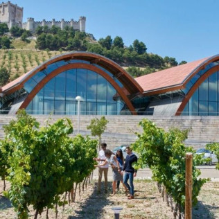 Circuito Termal en AZZ Peñafiel Las Claras Hotel & Spa 4* y  Visita a Bodegas Protos con Cata de 3 Vinos y Aperitivo para dos (Peñafiel, Valladolid)