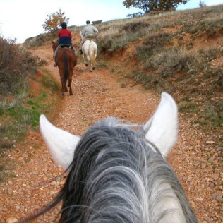 Ruta a Caballo para dos (Segovia)