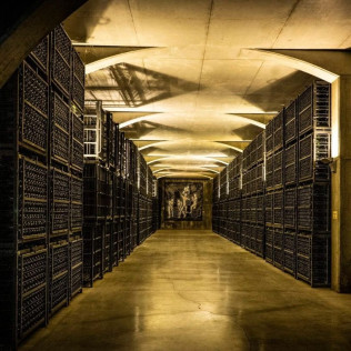 Visita a Celler Kripta y degustación para dos (Sant Sadurní d’Anoia, Barcelona)