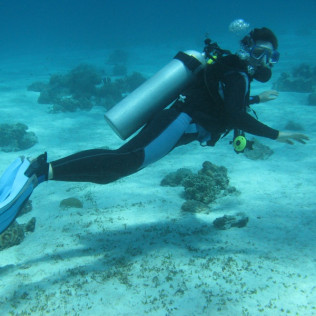 Bautismo de Buceo Privado en el Mar y Reportaje Fotográfico (Tenerife)