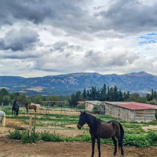 Ruta a Caballo para dos (Alicante)