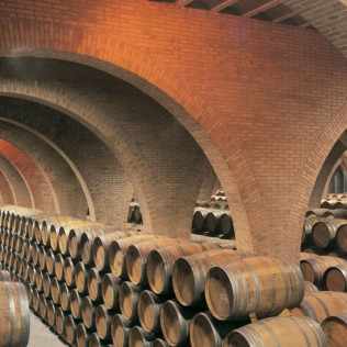 Visita a las Bodegas Irache con Degustación de Vinos y Aperitivo para dos (Navarra) 