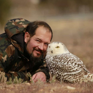 Descubre a las Aves Rapaces y Vuela a un Águila (Guadalajara)