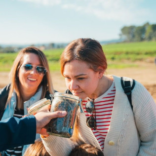 Experiència #Aprop: Visita a Llet Nostra con Degustación de Leche (Monells, Girona)