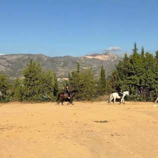 Ruta a Caballo para dos (Alicante)