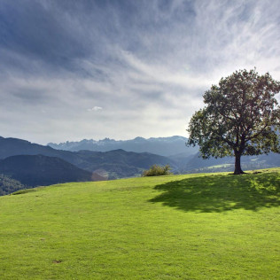 Escapada con Cena en Alojamiento Rural La Montaña Mágica (Asturias)