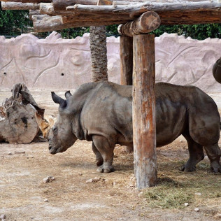 Entrada a Terra Natura y Aqua Natura (Murcia)