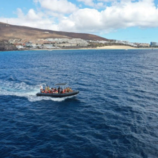 Tour de Avistamiento de Cetáceos para ver Delfines y Ballenas (Morro Jable, Fuerteventura)