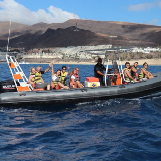Tour de Avistamiento de Cetáceos para ver Delfines y Ballenas (Morro Jable, Fuerteventura)